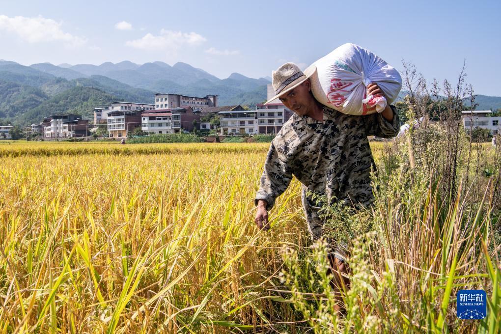 斗牛游戏下载游戏